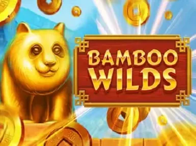 Winzter Casino screenshot